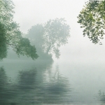 Morning Mist
